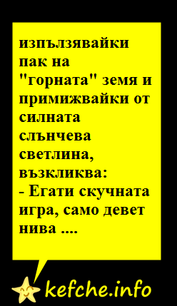 Виц за Геймър