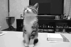 Понеделник сутрин