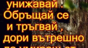 Никога пред никого не се унижавай