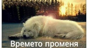 Времето променя много неща