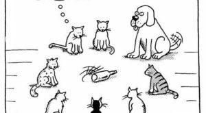 Картинки: Истина или желание