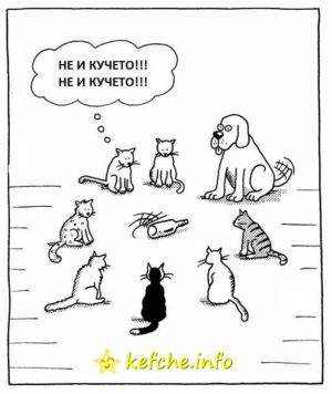 Картинки: Истина или желание