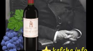 Мъдрост: Луи Пастьор