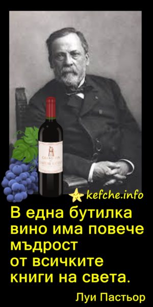 Мъдрост: Луи Пастьор