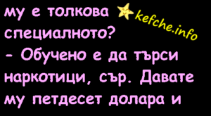Вицове:Триста долара за това куче?!