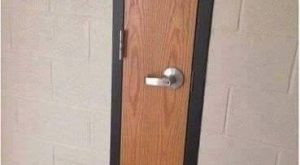 Правителството така реши !