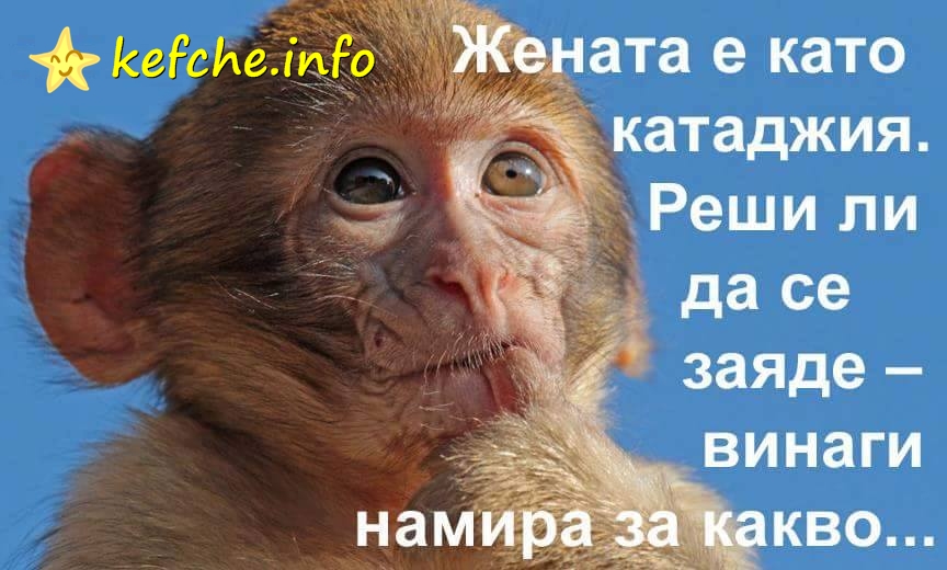Картинки: Жената е като катаджията