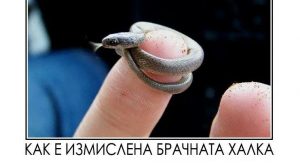 Картинки: Брачна халка