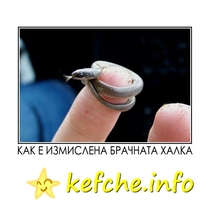 Картинки: Брачна халка