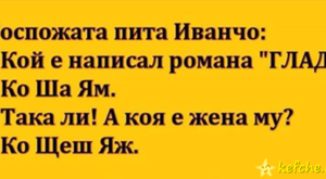 Вицове: Госпожата пита Иванчо
