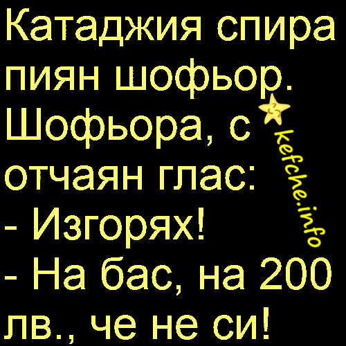 Вицове: Катаджия спира пиян шофьор