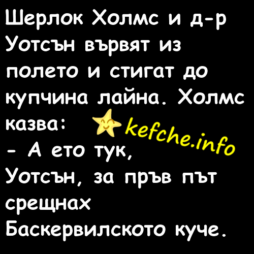 Вицове:Шерлок Холмс