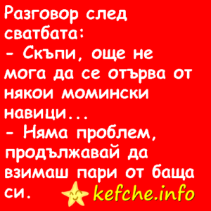 Вицове:Разговор след сватбата