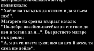 Четири мъжки магарета