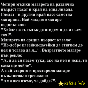 Четири мъжки магарета