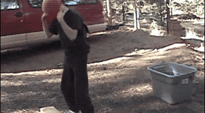 Гифчета: Капанът!