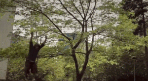 Гифчета: Паркур!