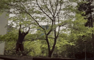 Гифчета: Паркур!