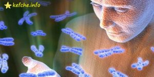 Гените на хората остават активни 4 дни след смъртта