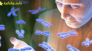 Гените на хората остават активни 4 дни след смъртта