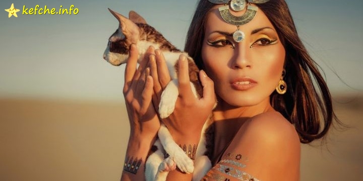 Котките са колонизирали Земята с помощта на хората