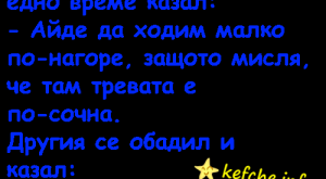 Вицове:Два коня си пасат