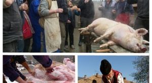 Сине, идвай си, ще колим прасето!