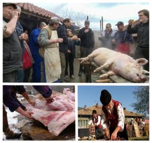 Сине, идвай си, ще колим прасето!