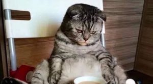 Това съм аз сутрин: свежа и радваща се на живота!