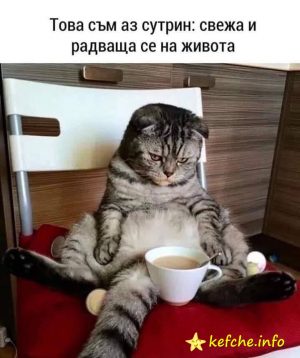 Това съм аз сутрин: свежа и радваща се на живота!