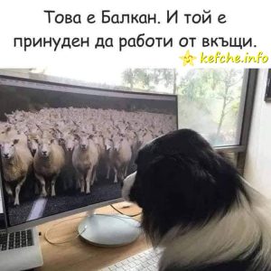 Това е Балкан