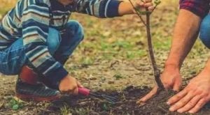 Ако искаш да чуеш песента на птичка