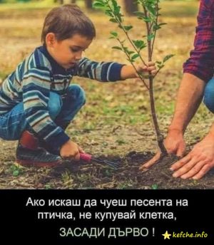 Ако искаш да чуеш песента на птичка